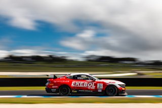 #21 - Ekebol Team MPC - Tony D'Alberto / Jarrod Keyte - Ford Mustang GT4 | | &copy; Jack Martin Photography |