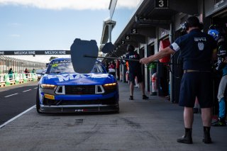#35 - Miedecke Motorsport with Lubrimaxx - Blake Tracey / George Miedecke - Ford Mustang GT4 | | &copy; Jack Martin Photography |