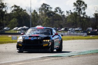#36 - Gomersall Motorsport - Jake Camilleri - Ford Mustang GT4 | | &copy; Jack Martin Photography |