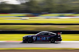 #36 - Gomersall Motorsport - Jake Camilleri - Ford Mustang GT4 | | &copy; Jack Martin Photography |