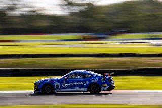 #95 - Miedecke Motorsport with Lubrimaxx - Cooper Cutts / Blake Dowdall - Ford Mustang GT4 | | &copy; Jack Martin Photography |