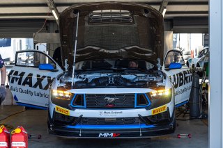 #35 - Miedecke Motorsport/Lubrimaxx - George Miedecke - Rylan Gray - Ford Mustang GT4 l © Insyde Media l Rhys Vandersyde l GT4 Australia | GT4 Australia