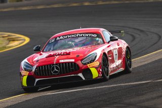 #17 - Love Motorsport by Volante Rosso - Bailey Love - Rob Love - Mercedes-AMG GT4 l © Race Project l Daniel Kalisz | GT4 Australia